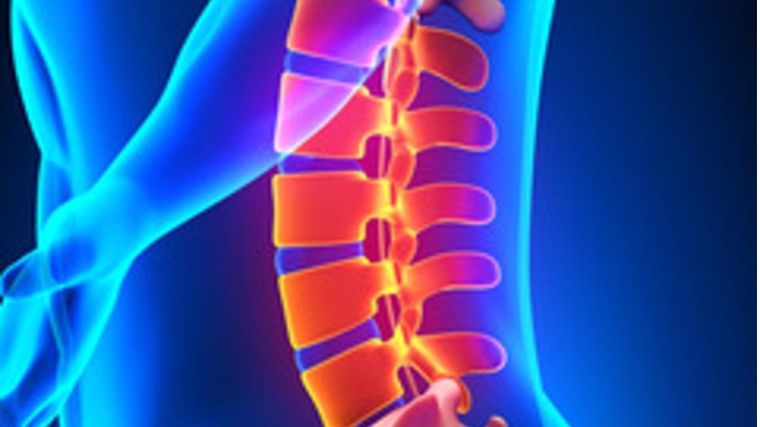 Image of a spine illustrated back pain