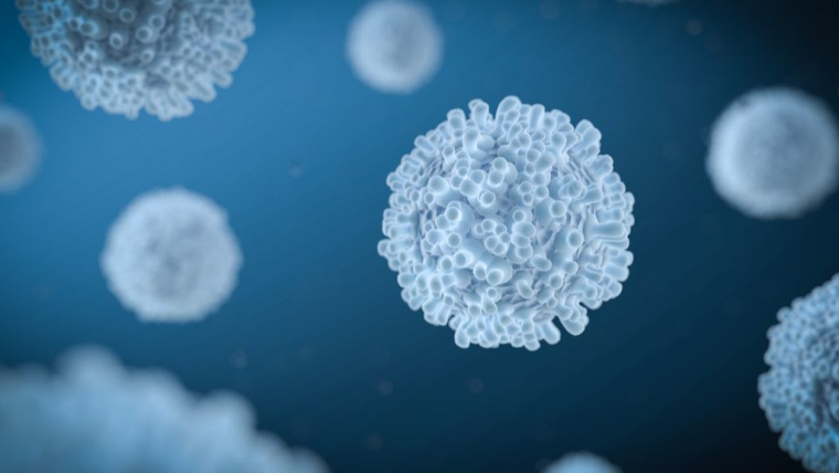 T-Cell Image for news story