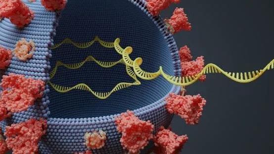Genomics to Enhance Microbiology Screening
